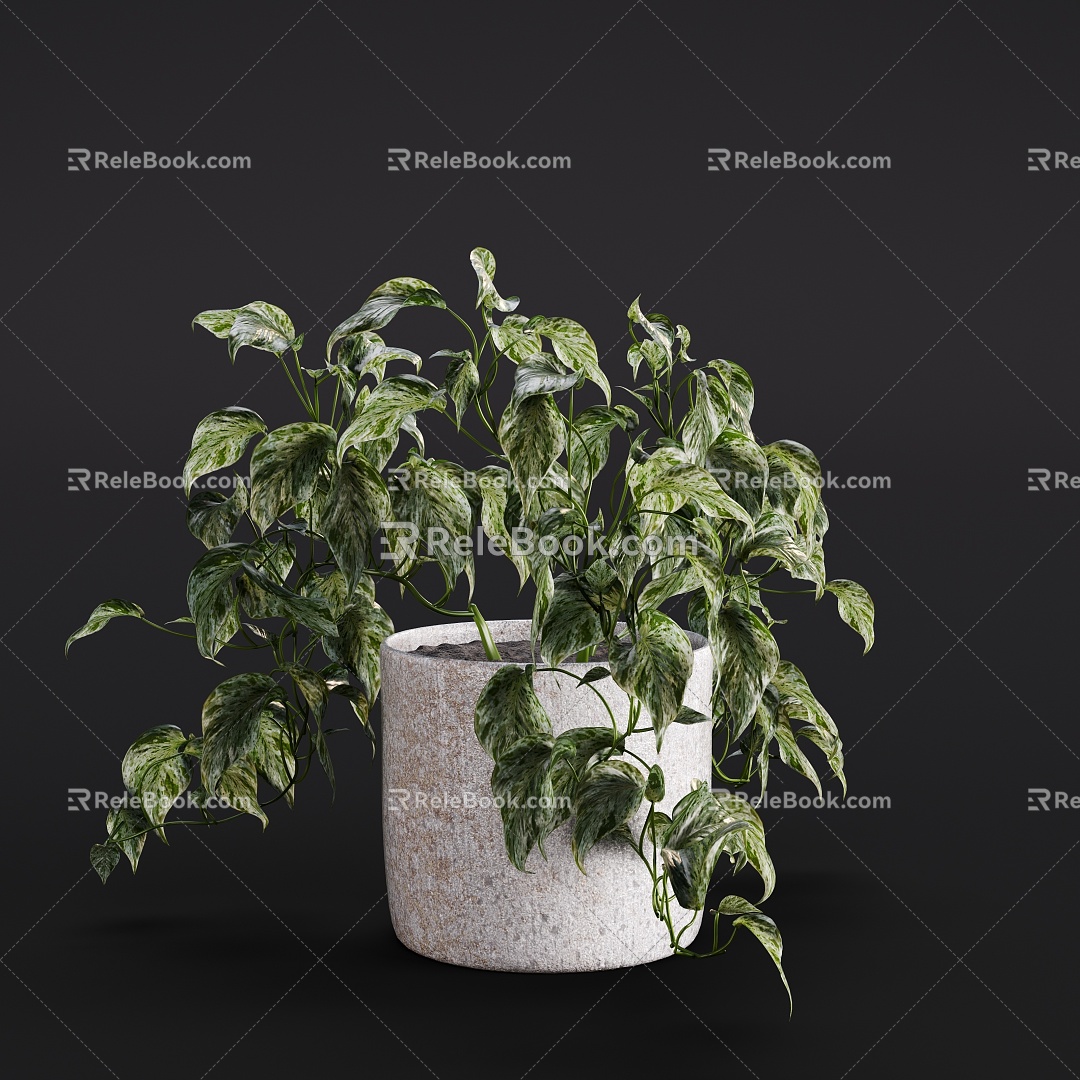 Modern Plant Green Plant Bonsai Flower Art Flower 3d model