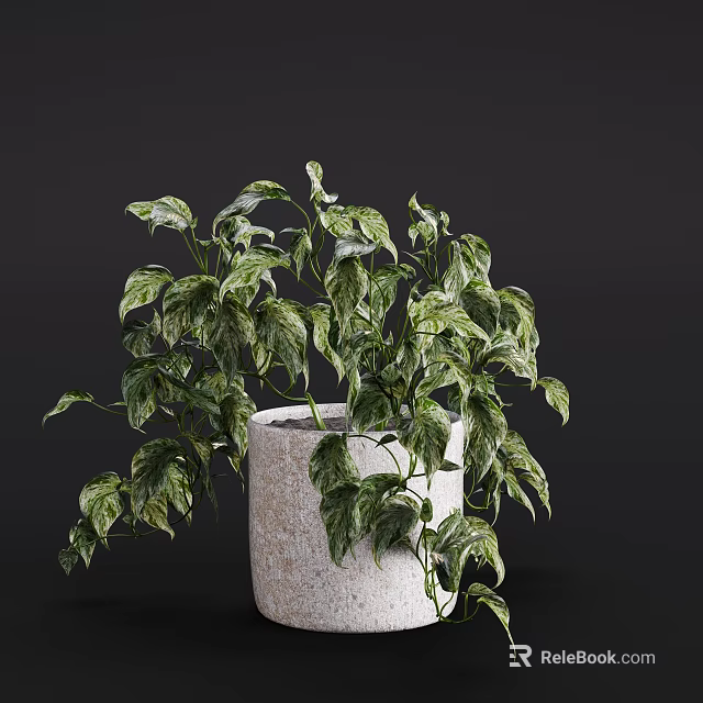 Potted Plant With Green And White Variegated Leaves In White Stone Pot 3d model 