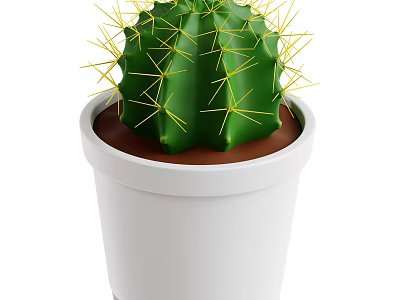 Green Cactus Plant With Yellow Thorns In White Pot And Brown Soil 3d model