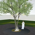 Illuminated Tree At Night Decorated With Glowing Spheres And Person Standing Under Circular Lit Ground