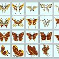 Golden Orange Butterfly Decorative Ornament Set With Various Artistic Patterns For Home Decoration