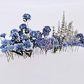 Vibrant Blue And Purple Flowers With Green Foliage Fresh Floral Plant