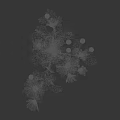 Vibrant Purple Flowers with Lush Green Leaves on Slender Stems in Black Background