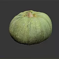 Organic Green Pumpkin Vegetable Fresh Ripe Single with Smooth Texture on Dark Background 3d model
