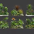 Decorative Plant Combinations Featuring Diverse Green Foliage And Assorted Plant Types