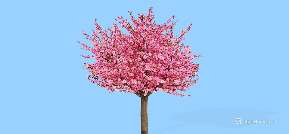 Lush Blossoming Tree With Vibrant Pink Flowers Against Blue Sky Background 3d model 