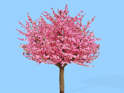 Lush Blossoming Tree With Vibrant Pink Flowers Against Blue Sky Background 3d model