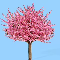Lush Blossoming Tree With Vibrant Pink Flowers Against Blue Sky Background