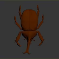Orange Shiny Beetle with Intricate Horns and Legs on Dark Surface