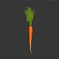 Healthy Fresh Orange Carrot With Green Tops Isolated On Grey Background