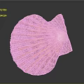 Detailed Red and Orange Striped Spotted Scallop Shell in Close Up View