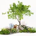 Lush Garden Plant Combination With Tall Tree Various Flowers And Stones