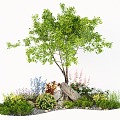 Modern Landscape Plant Flower Mirror Arbor Flowers and Plants Landscape Stone 3d model