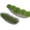 Bonsai Potted Plants In Long And Oval Gray Containers With Grass And Round Green Foliage