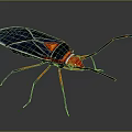 Red Headed Insect Featuring Black Wings Red And Black Body Long Red Legs Shiny Surface