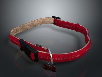 Belt Cowlash Items 3d model