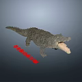 Modern Animal Crocodile Feeding Crocodile Animation Bite Foraging Diet 3d model