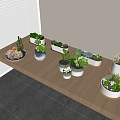 succulent potted plant combination tabletop green plant succulent potted plant 3d model