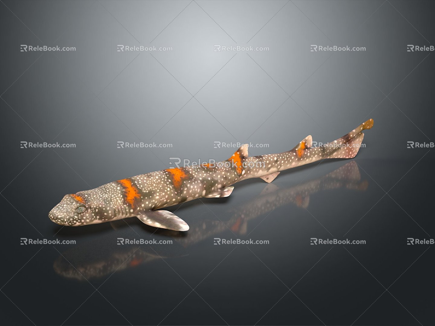 Catfish Carp Sturgeon Bass Freshwater Fish Various Carp Grass Carp Crucian Carp 3d model