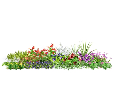 flowers and plants flower landscape flowers and plants courtyard flowers and plants combination flower border flowers and plants park flowers model