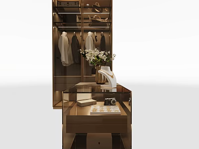 Modern Wardrobe Interior Design With Hanging Garments Drawers Shelves And Decorative Vase 3d model