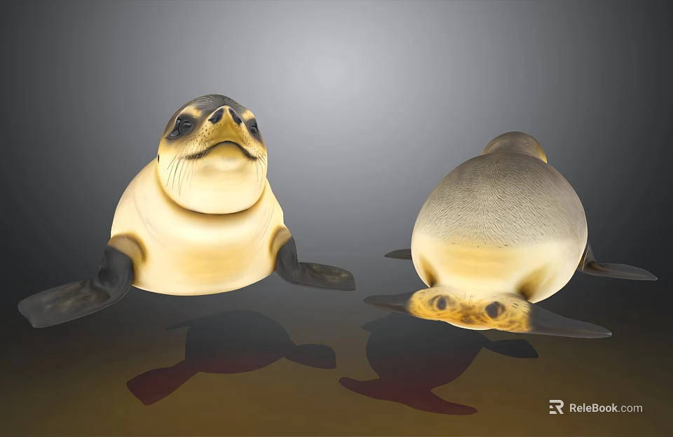 Two Cute 3D Rendered Seals Resting Peacefully With Reflections On Smooth Surface 3d model