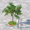 Arbor With 1.8m Height And 1.5m Diameter Circular Lawn On Gray Square Pavement Tiles