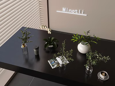 Aquatic Plants In Glass Vases For Modern Interior Tabletop Decoration 3d model