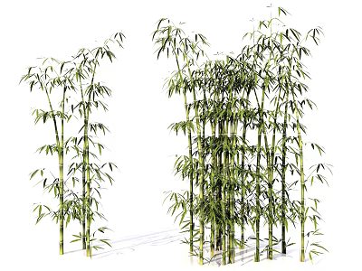 Clustered Bamboo Plants With Green Leaves And Various Heights In Natural Setting 3d model
