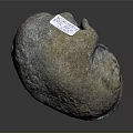 Natural Wood Stone With Rough Surface And Gray Brown Natural Texture