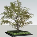 Landscape Arbor Tree 3d model