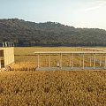 Rustic Wooden Pavilion in Golden Wheat Field with Natural Mountain Backdrop and People