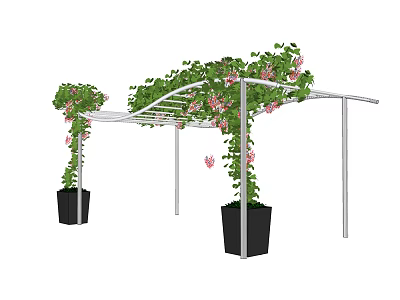 Outdoor Pergola With Green Climbing Plants Pink Flowers And Black Planters 3d model