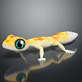 Colorful Reptile Gecko With Yellow Orange Patterns White Body Large Eyes On Black Reflective Surface