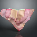 3D Anatomical Illustration of Human Organs and Hair Structures With Detailed Medical View