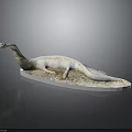 Prehistoric Plesiosaur Model With Long Neck On Transparent Base