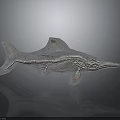 Transparent Fish Shaped Carved Sculpture With Detailed Texture And Reflection 3d model