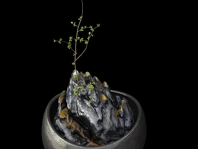 Bonsai Plant with Small Green Leaves and Thin Branches on Rock in Round Ceramic Pot 3d model