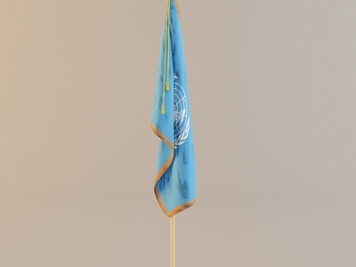 Flag model