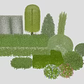 Variously Shaped Trimmed Shrubs for Garden Landscaping with Different Sizes and Flowering Plants