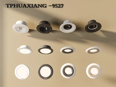 Modern Downlights and Spotlights with White Black Finish Various Styles for Interior Lighting 3d model