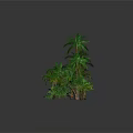 Lush Green Palm Trees And Tropical Plants In Decorative Landscape Arrangement