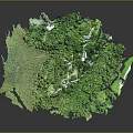 Scenic Aerial View of Lush Green Forest with Winding Pathways and Rural Houses
