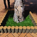 Outdoor Tree Trunk Flower Bed With Wooden Log Border Green Grass On Brick Pavement