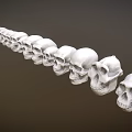 3D Rendered Multiple Human Skulls Arranged in a Line Against Gray Background