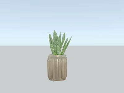 Green Potted Plant With Striped Leaves In Gray Ribbed Ceramic Pot For Indoor Decor 3d model