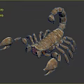 Detailed Brown Scorpion Reptile With Curved Tail And Red Eyes On Gray Background