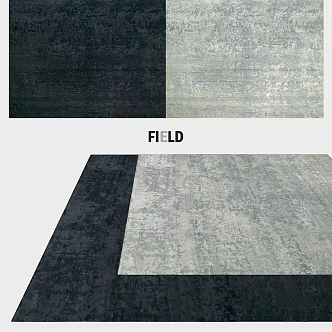 Modern Square Carpet Rectangular 3d model