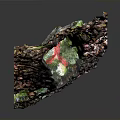 Natural Wood and Stone Decorative Piece With Mossy Surface and Earthy Textures