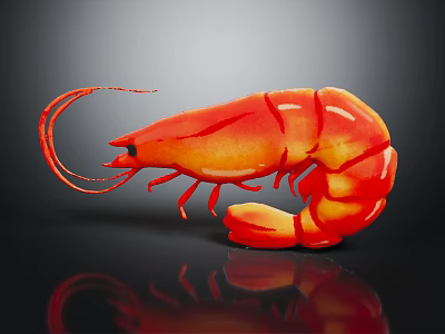 Red Shrimp With Vibrant Color And Glossy Texture On Dark Surface With Reflection 3d model
